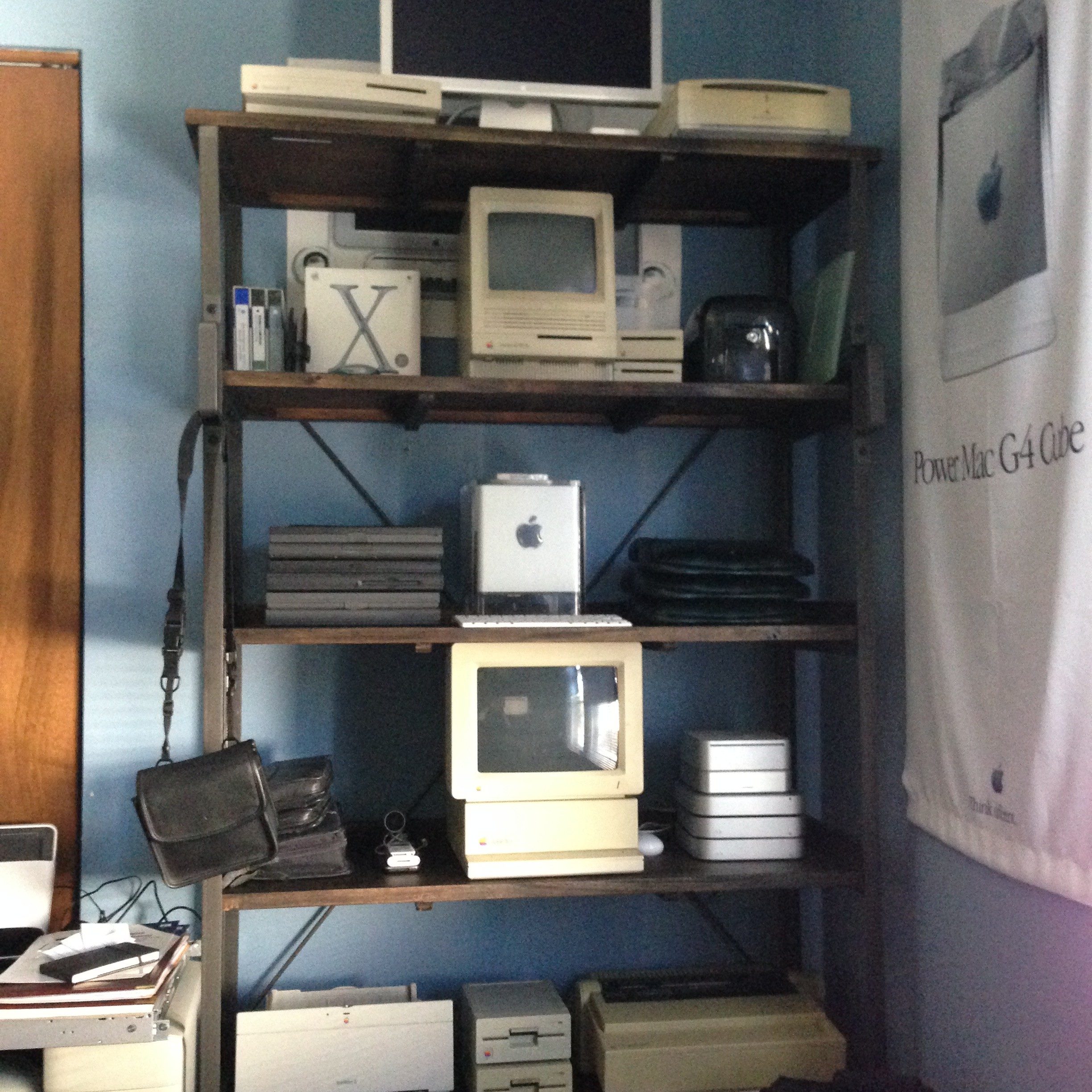 My Apple Collection - Jennifer Zelazny